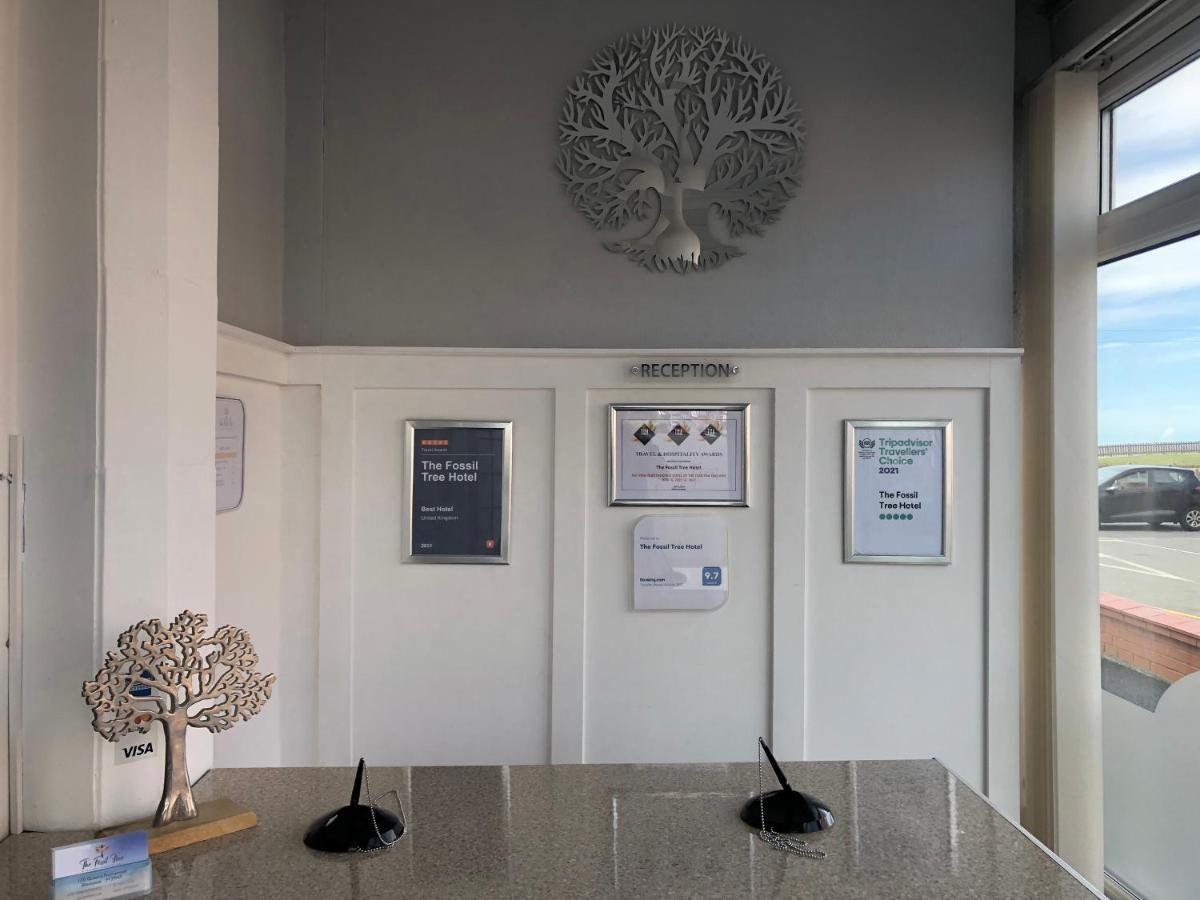 Hotel The Fossil Tree Blackpool
